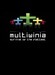 Multiwinia: Survival of the Flattest