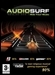 Audiosurf